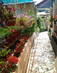 Фото комнаты в аренду (3)