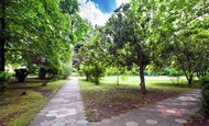 Фото комнаты в аренду (3)