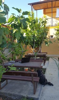 Фото комнаты в аренду (5)