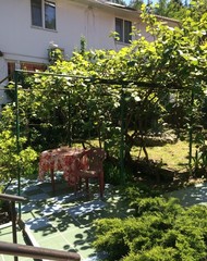 Фото комнаты в аренду (4)