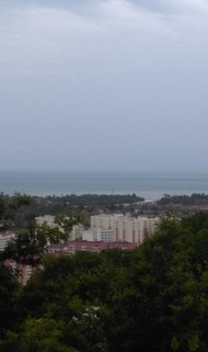 Фото комнаты в аренду (6)