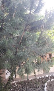 Фото комнаты в аренду (7)