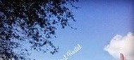 Фото комнаты в аренду (5)