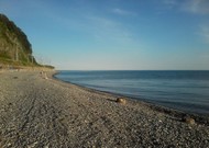 Фото комнаты в аренду (8)