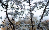 Фото комнаты в аренду (5)