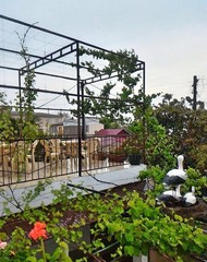 Фото комнаты в аренду (3)
