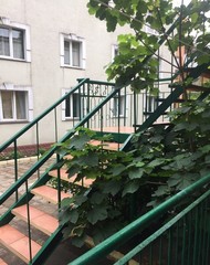 Фото комнаты в аренду (3)