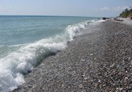 Фото комнаты в аренду (8)