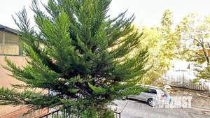 3-к квартира, на длительный срок, 65м2, 1/4 этаж
