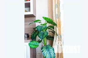 2-к квартира, посуточно, 65м2, 8/10 этаж