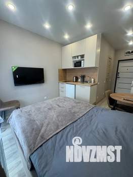 Студия квартира, посуточно, 19м2, 17/19 этаж