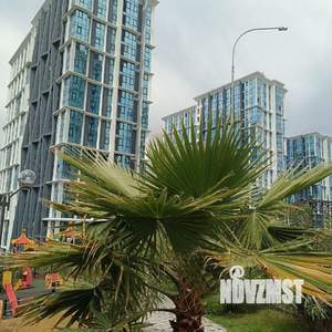 Студия квартира, на длительный срок, 24м2, 5/19 этаж