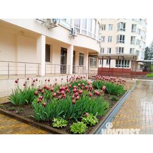 1-к квартира, на длительный срок, 24м2, 4/13 этаж