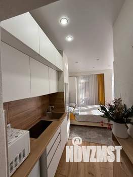 Студия квартира, посуточно, 23м2, 5/10 этаж