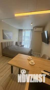 Студия квартира, посуточно, 24м2, 18/19 этаж