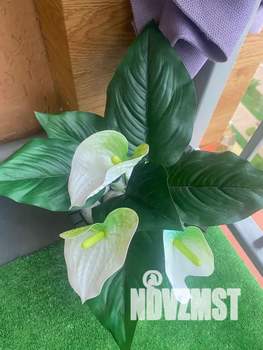 Студия квартира, посуточно, 28м2, 11/13 этаж