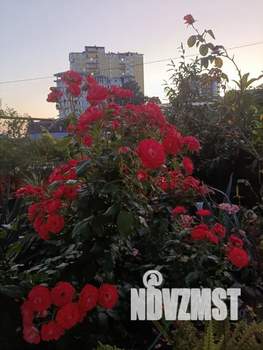 1-к квартира, посуточно, 35м2, 1/2 этаж