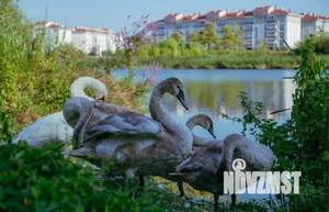 1-к квартира, посуточно, 80м2, 1/1 этаж
