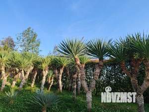 1-к квартира, посуточно, 18м2, 1/1 этаж