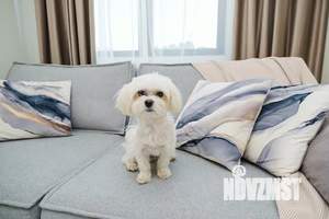 2-к квартира, посуточно, 43м2, 1/1 этаж