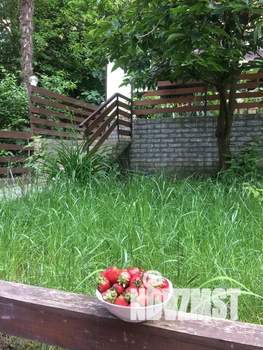 Студия квартира, посуточно, 30м2, 2/2 этаж
