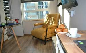 1-к квартира, на длительный срок, 17м2, 13/17 этаж