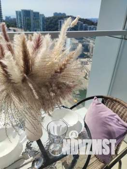 Студия квартира, посуточно, 18м2, 11/19 этаж