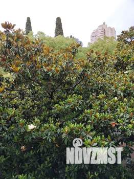 2-к квартира, посуточно, 40м2, 3/4 этаж