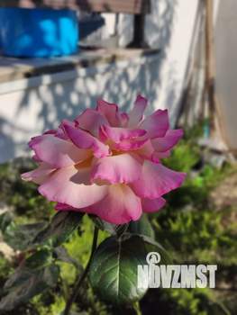 1-к квартира, на длительный срок, 30м2, 1/2 этаж