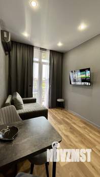Студия квартира, посуточно, 31м2, 2/3 этаж