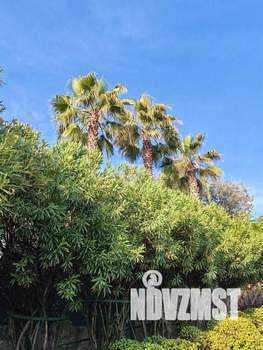 1-к квартира, посуточно, 18м2, 1/1 этаж