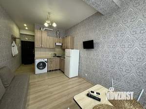 1-к квартира, на длительный срок, 24м2, 12/12 этаж