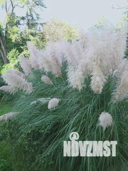 2-к квартира, посуточно, 36м2, 12/12 этаж