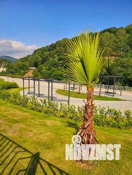 1-к квартира, посуточно, 28м2, 7/12 этаж