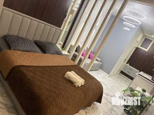 Студия квартира, посуточно, 28м2, 2/3 этаж