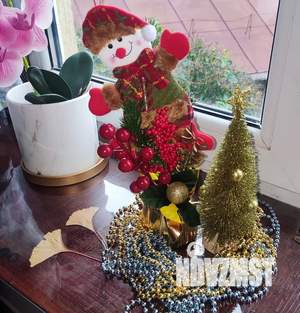 Студия квартира, посуточно, 20м2, 3/3 этаж