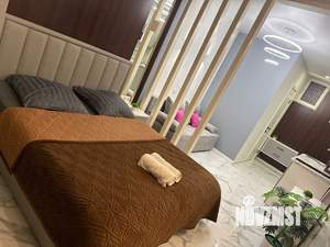 Студия квартира, посуточно, 28м2, 2/3 этаж