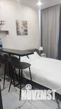 Студия квартира, посуточно, 17м2, 13/17 этаж