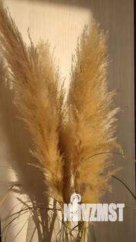 1-к квартира, на длительный срок, 35м2, 2/6 этаж