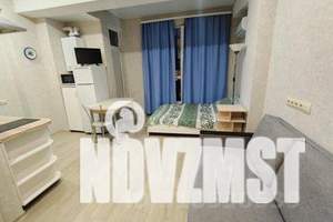 1-к квартира, посуточно, 26м2, 8/13 этаж