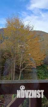 Студия квартира, на длительный срок, 43м2, 3/3 этаж