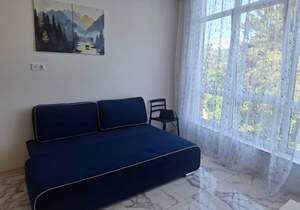 Студия квартира, на длительный срок, 22м2, 4/4 этаж