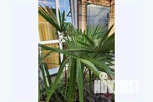 1-к квартира, посуточно, 16м2, 1/3 этаж