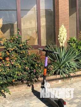 Студия квартира, посуточно, 30м2, 6/9 этаж