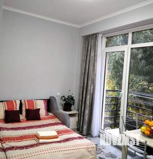 1-к квартира, посуточно, 29м2, 1/1 этаж