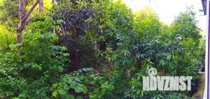 1-к квартира, посуточно, 35м2, 1/5 этаж