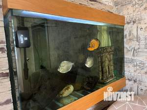 3-к квартира, на длительный срок, 56м2, 2/4 этаж