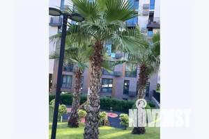 1-к квартира, посуточно, 40м2, 1/8 этаж