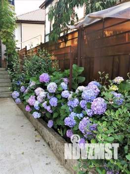 2-к квартира, посуточно, 25м2, 1/1 этаж