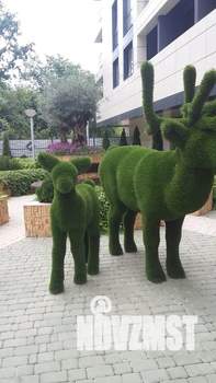 Студия квартира, посуточно, 28м2, 7/12 этаж